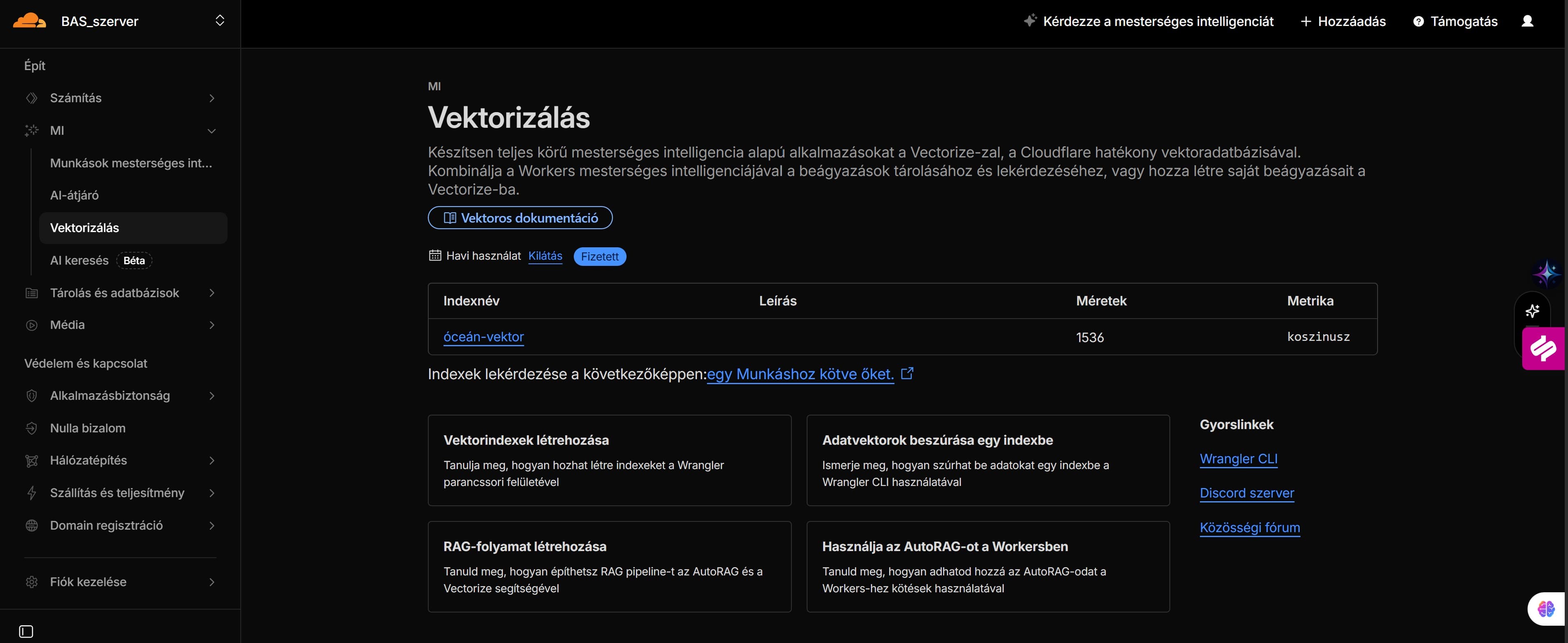 Brunella Agent System képernyőkép